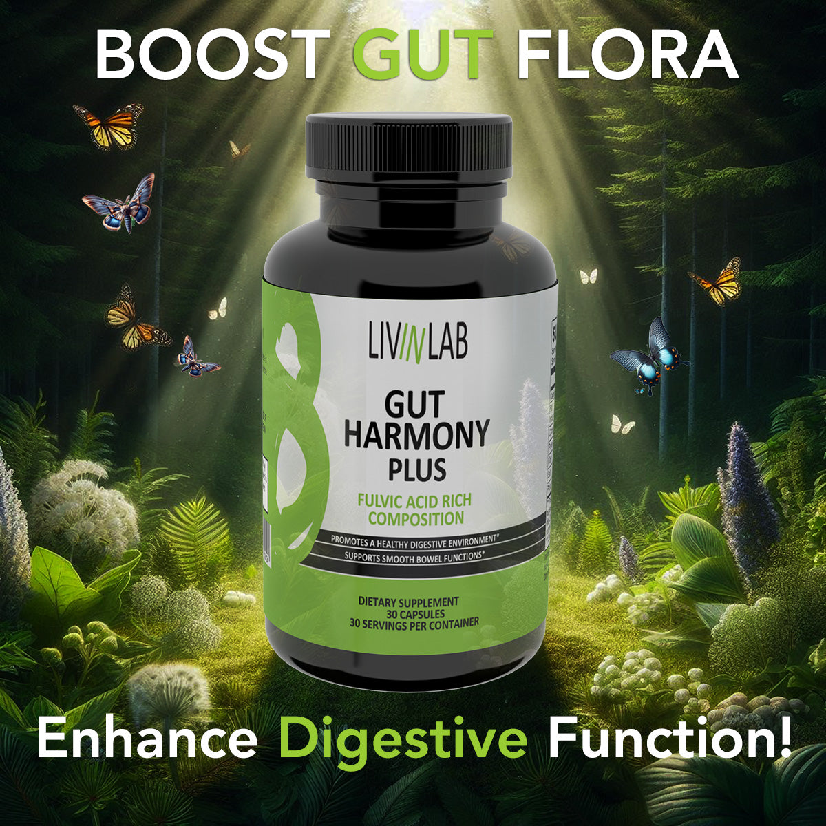 Gut Harmony Plus
