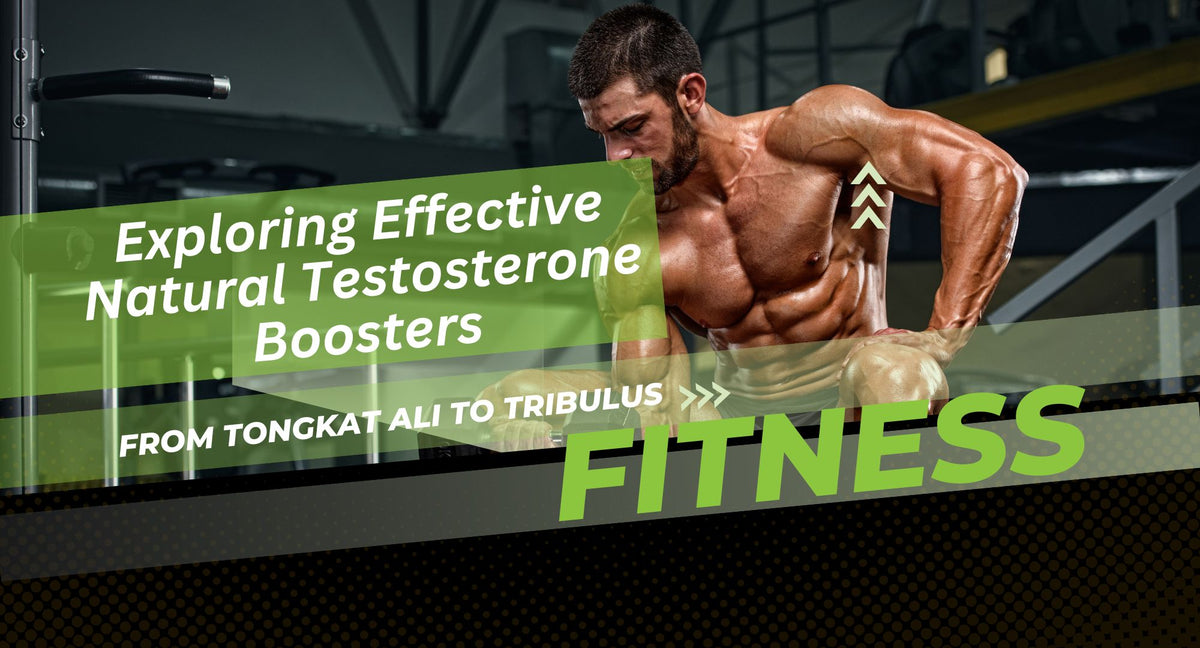 Enhancing Testosterone with Supplements & Healthy Habits – Livin Lab