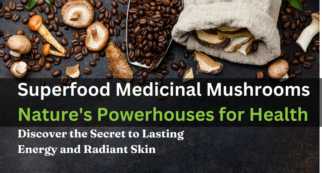 Medicinal mushroom supplements