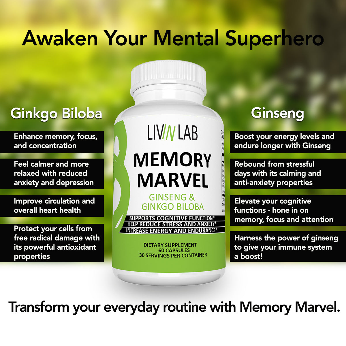 Memory Marvel with Ginkgo Biloba + Ginseng