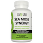 Discover the Holistic Benefits of Sea Moss Synergy: Your Ultimate Health and Wellness Companion Blending Irish Moss, Bladderwrack, Burdock, and Black Pepper.