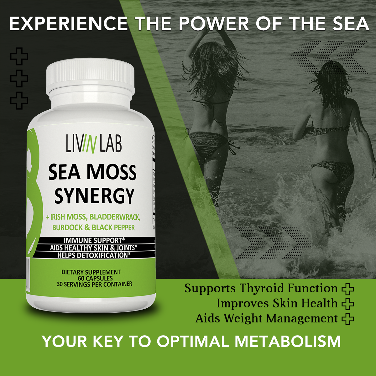 Best sea moss capsules to buy